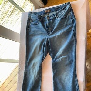 Judy Blue Dark Wash Flare Jeans 18W